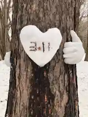 北海道神宮の芸術