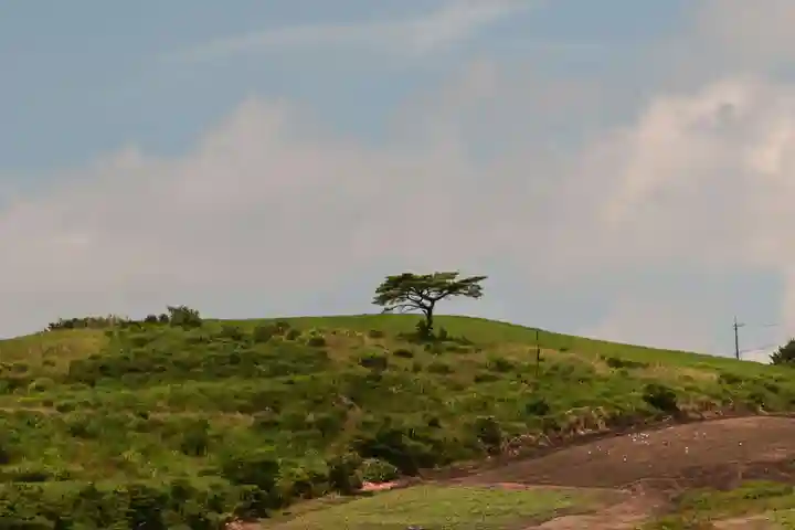 龍王神社(愛媛県)