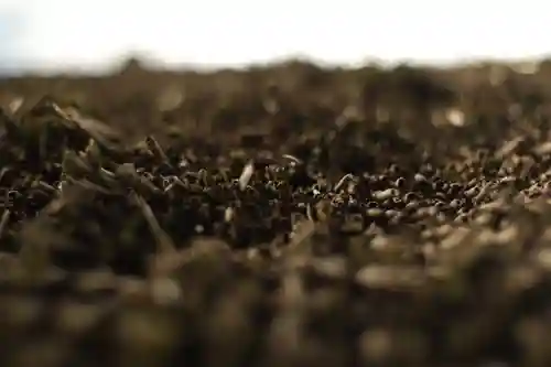 高台寺（高台寿聖禅寺・高臺寺）(京都府)