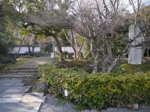 浄住寺の庭園