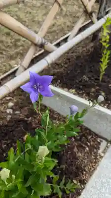  智積院(京都府)