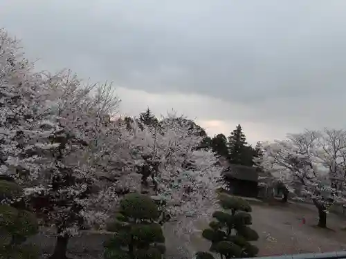 伏木香取神社の景色