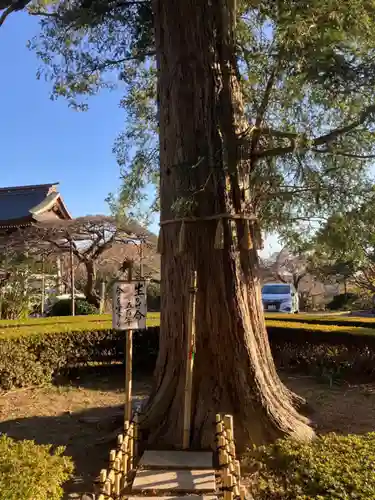 西光寺(神奈川県)