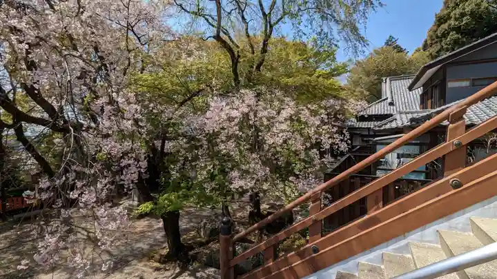 松ヶ崎大黒天 妙圓寺(妙円寺)(京都府)