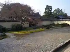 等持院の庭園