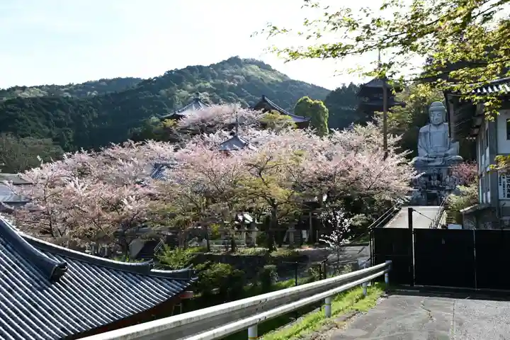 南法華寺(壷阪寺)(奈良県)