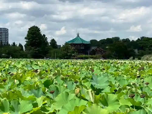 寛永寺(根本中堂)(東京都)