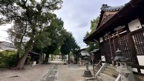 飛鳥田神社(京都府)