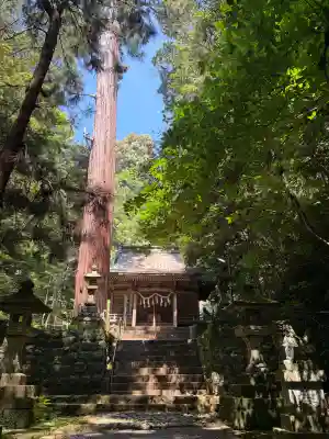 八幡宮來宮神社の{uncategorized: "未分類", other: "その他", undefined: "問題あり", building: "その他建物", grave: "お墓", sacred_gate: "鳥居", guardian: "狛犬", statue: "像", buddha: "仏像", history: "歴史", nature: "自然", garden: "庭園", animal: "動物", pagoda: "塔", temizu: "手水舎", mountain_gate: "山門・神門", sanctuary: "本殿・本堂", subordinate: "末社・摂社", art: "芸術", scenery: "景色", jizo: "地蔵", ema: "絵馬", goshuin: "御朱印", omikuji: "おみくじ", items: "授与品その他", amulet: "お守り", goshuincho: "御朱印帳", eats: "食事", festival: "お祭り", votive_dance: "神楽", shichigosan: "七五三参", wedding: "結婚式", experience: "体験その他", initially: "初詣", around: "周辺", anti_infection: "感染症対策"}