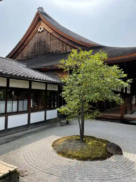 建仁寺(建仁禅寺)の庭園