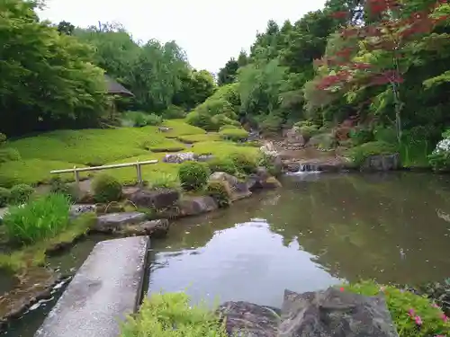 退蔵院の庭園