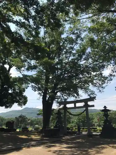 白鳥神社の自然