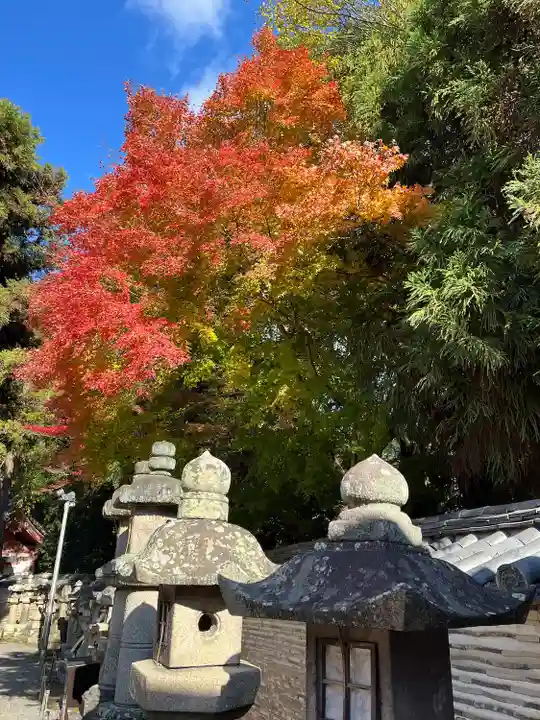 石清水八幡宮(京都府)