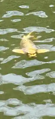 善寶寺(山形県)