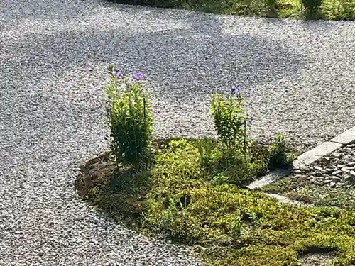 廬山寺（廬山天台講寺）(京都府)