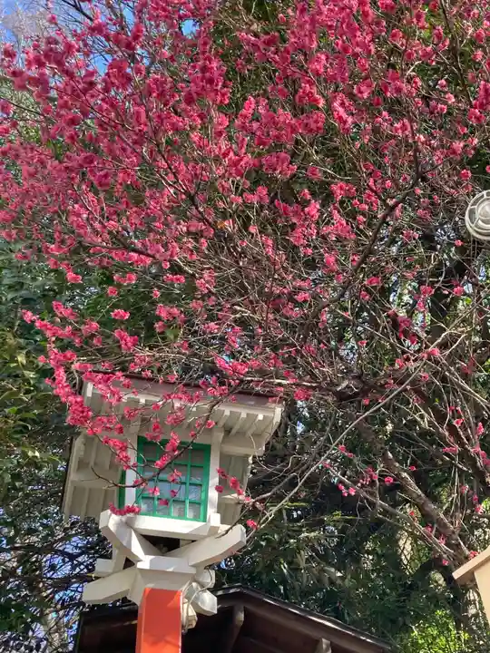 田無神社の自然