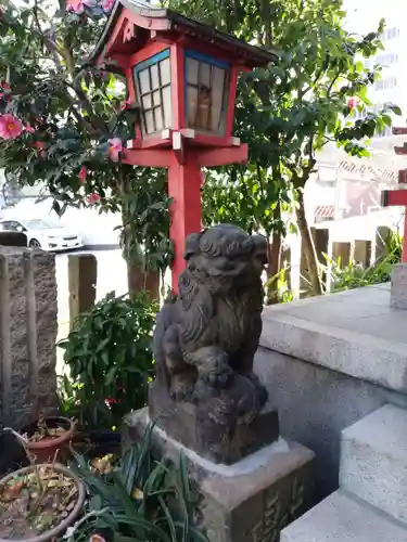 亀塚稲荷神社の狛犬