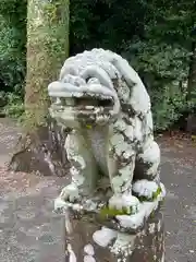 矢上神社の狛犬