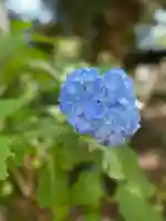 前原御嶽神社(千葉県)