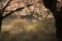 阿久津「田村神社」(郡山市阿久津町)旧社名:伊豆箱根三嶋三社の庭園