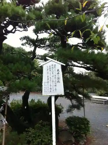 光雲神社の自然