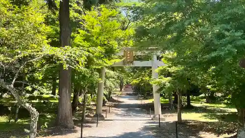 井伊神社の鳥居