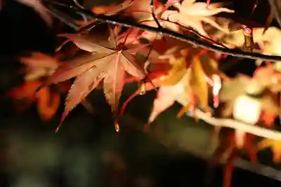 円通院(宮城県)