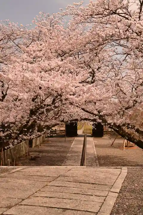 久妙寺(愛媛県)