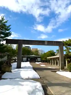 福井神社の鳥居