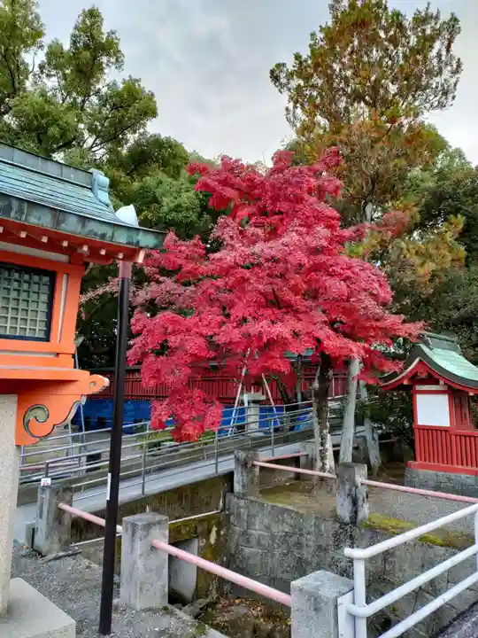 津島神社の自然