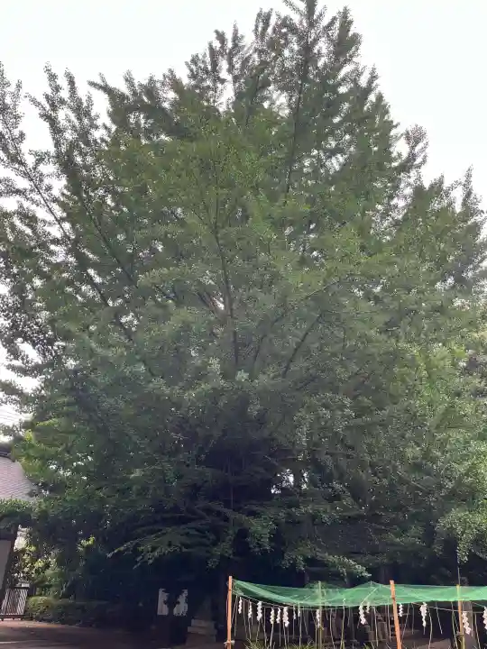 小平神明宮(東京都)