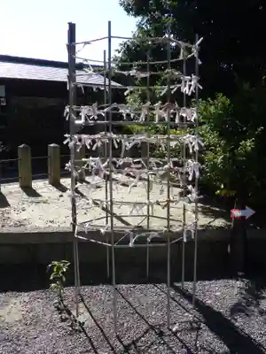 城南宮のおみくじ