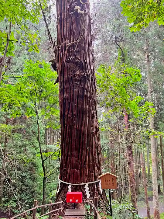 志和稲荷神社の自然
