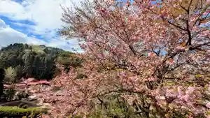 金蛇水神社(宮城県)(2025年04月24日(木) 15時59分45秒投稿)