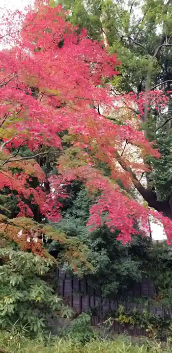 増上寺塔頭 三縁山 宝珠院の周辺