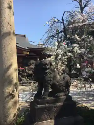 素盞雄神社の狛犬