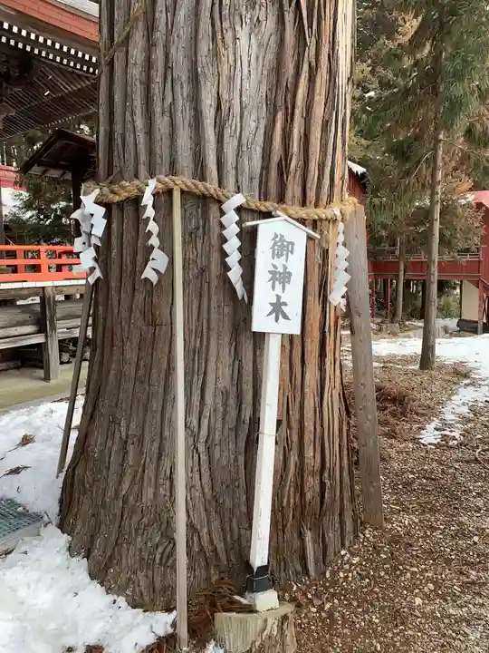 鼬幣稲荷神社の自然