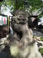 白髭神社の狛犬