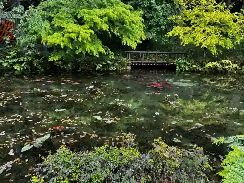 根道神社の{uncategorized: "未分類", other: "その他", undefined: "問題あり", building: "その他建物", grave: "お墓", sacred_gate: "鳥居", guardian: "狛犬", statue: "像", buddha: "仏像", history: "歴史", nature: "自然", garden: "庭園", animal: "動物", pagoda: "塔", temizu: "手水舎", mountain_gate: "山門・神門", sanctuary: "本殿・本堂", subordinate: "末社・摂社", art: "芸術", scenery: "景色", jizo: "地蔵", ema: "絵馬", goshuin: "御朱印", omikuji: "おみくじ", items: "授与品その他", amulet: "お守り", goshuincho: "御朱印帳", eats: "食事", festival: "お祭り", votive_dance: "神楽", shichigosan: "七五三参", wedding: "結婚式", experience: "体験その他", initially: "初詣", around: "周辺", anti_infection: "感染症対策"}