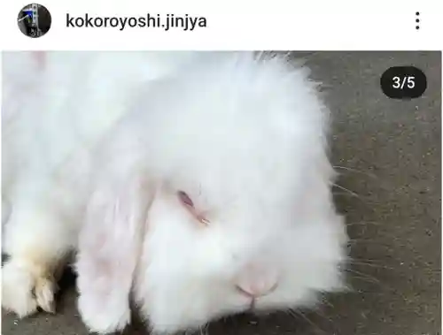 快神社(徳島県)