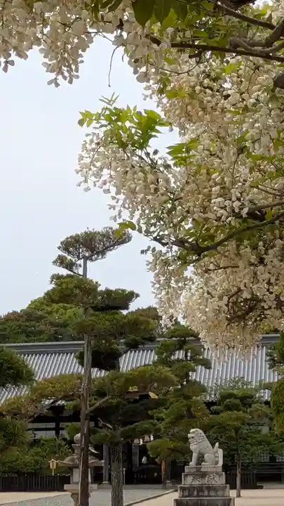 誉田八幡宮(大阪府)