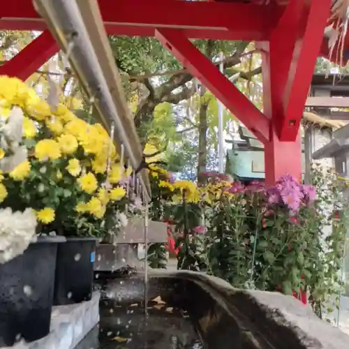 美奈宜神社の手水舎