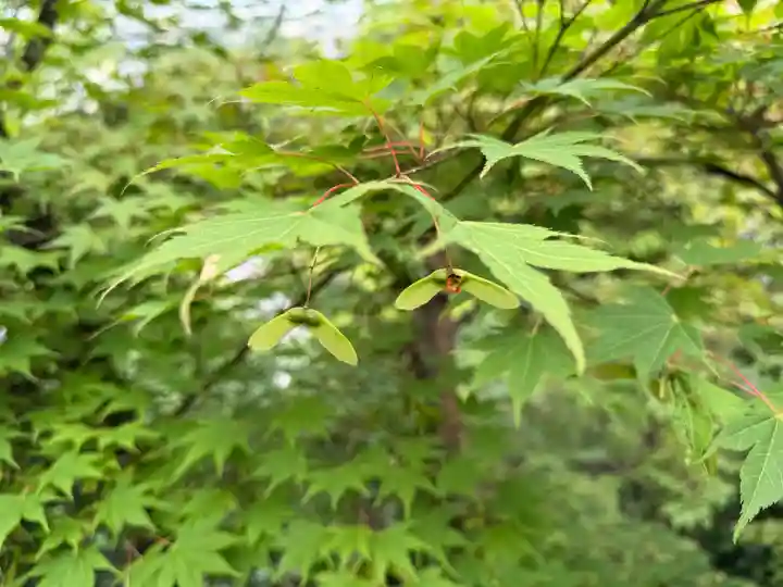 西方山極楽寺(岐阜県)