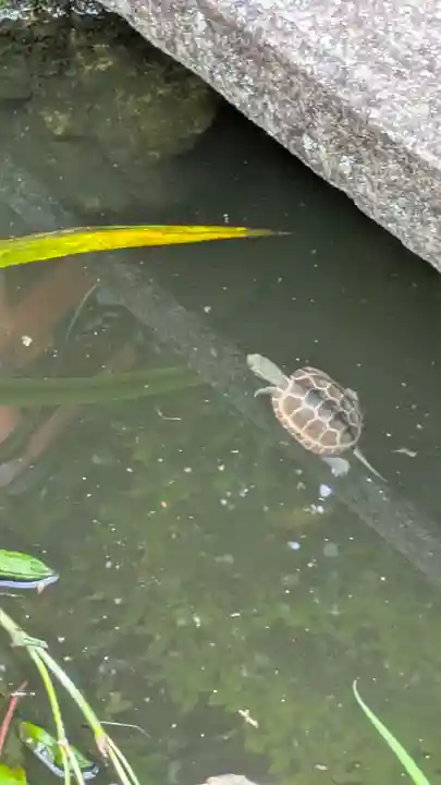 宝蔵寺(京都府)