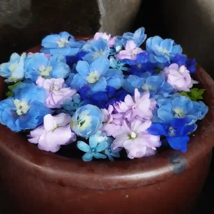 菅生神社の手水舎