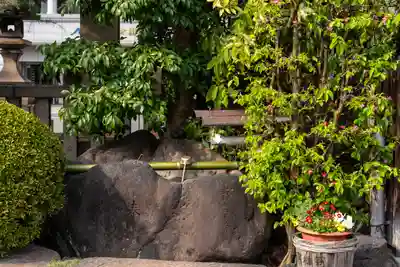 元祇園梛神社・隼神社(京都府)