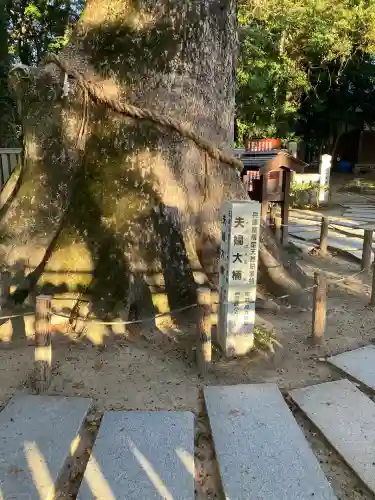 伊弉諾神宮(兵庫県)