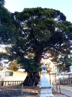 鹿島神社(茨城県)
