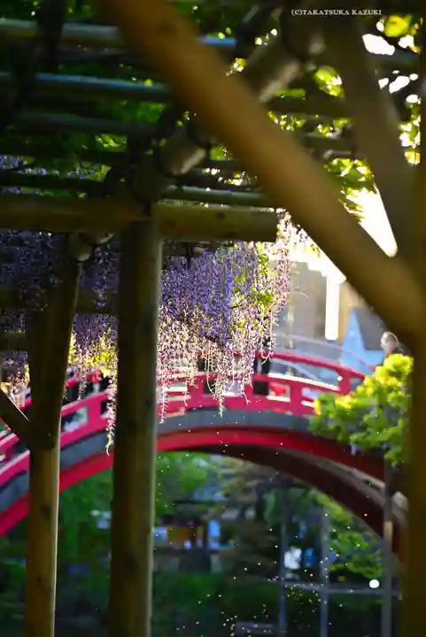 亀戸天神社(東京都)