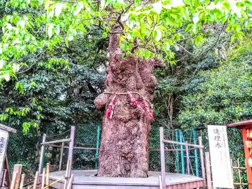 城山八幡宮の庭園